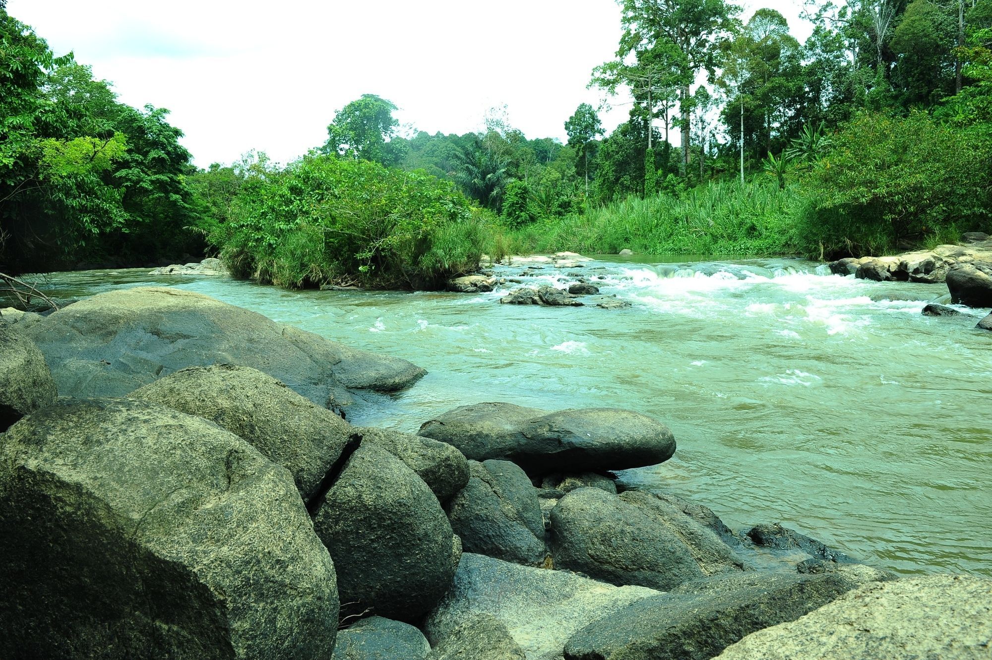 Capital O 90665 Countryview Recreation Park & Resort Benta Esterno foto