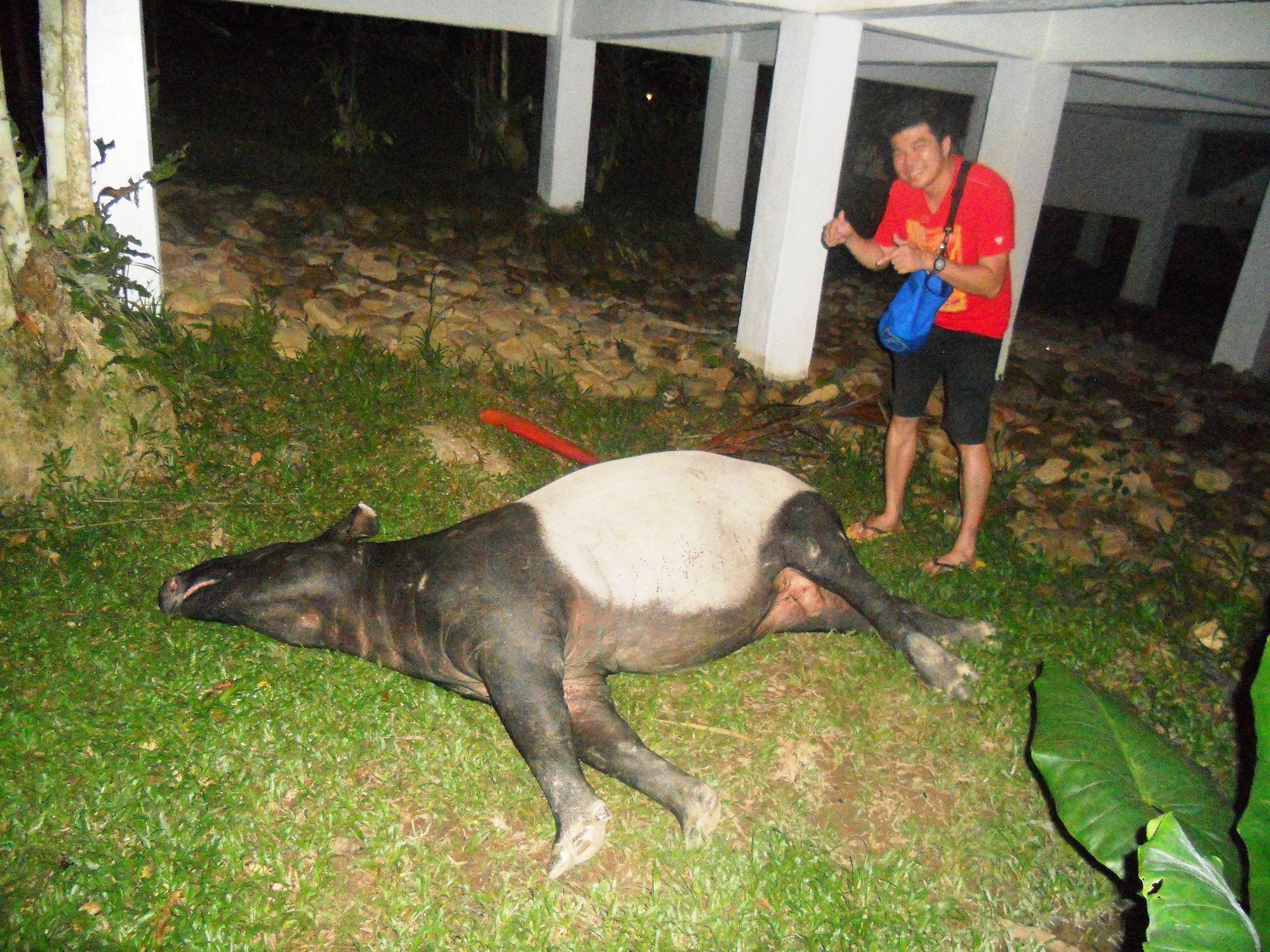 Capital O 90665 Countryview Recreation Park & Resort Benta Esterno foto